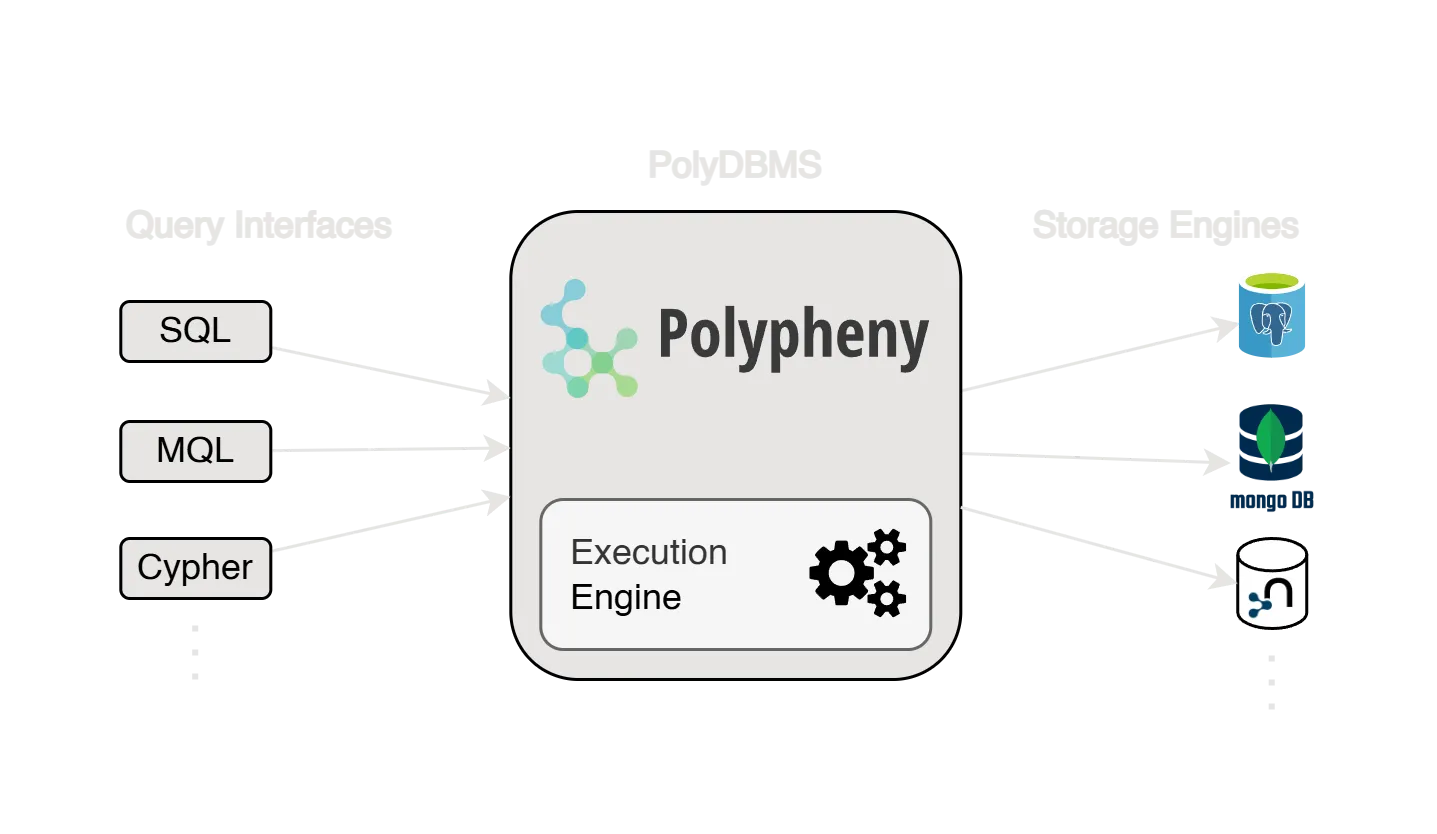 PolyDBMS architecture.